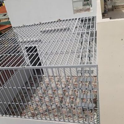 Khung sắt bảo vệ chuồng cọp